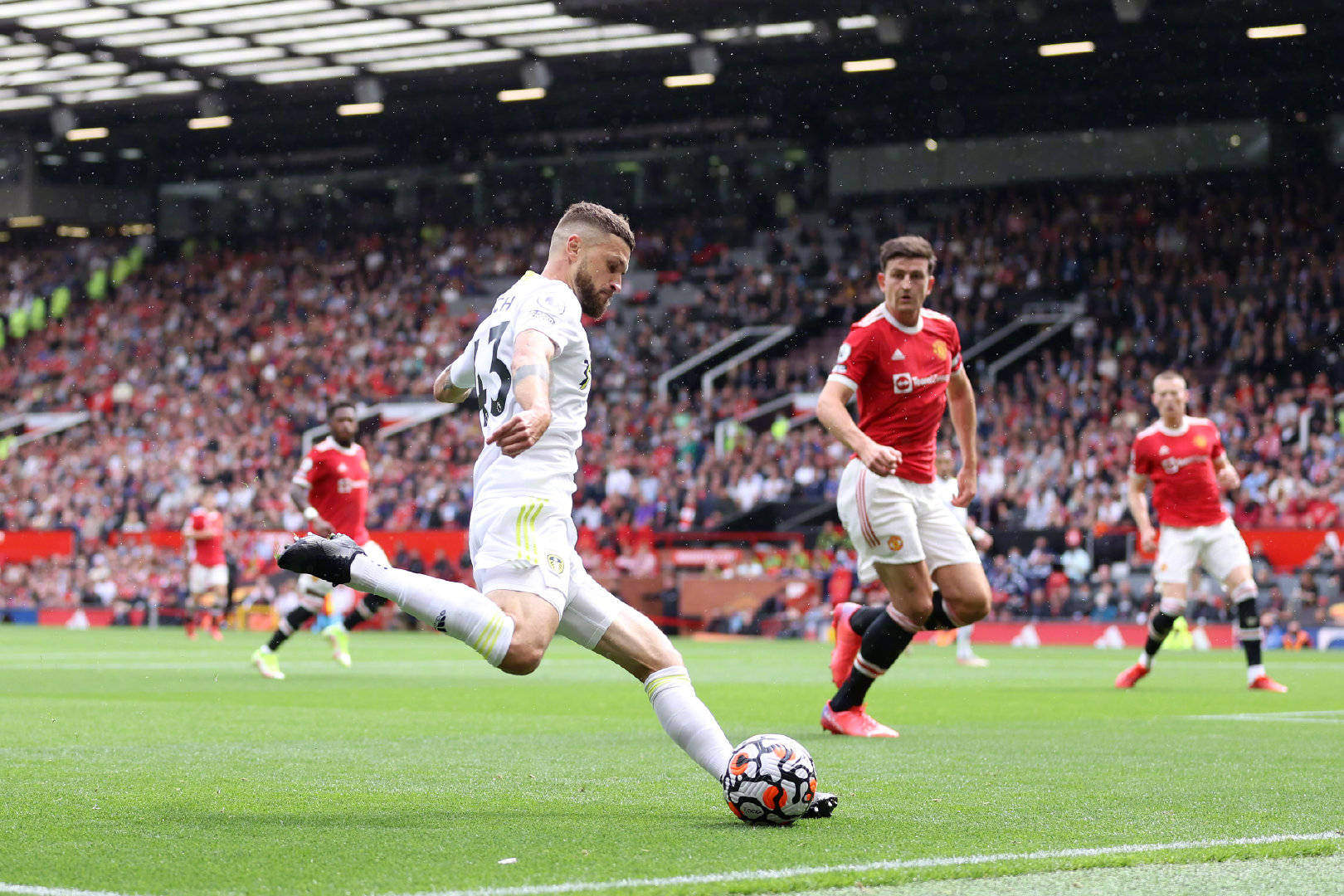 特别是天然 特别是天然